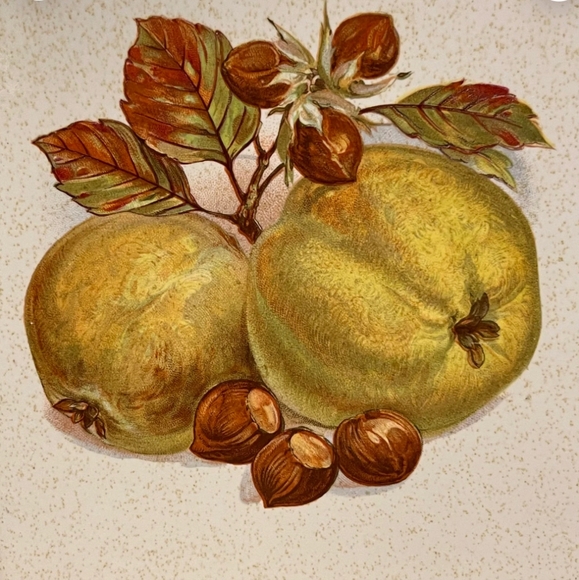 Vintage Hyalyn Pottery Canister Set, Two Fruit Pattern Canisters with Wood Lids - Picture 6 of 10